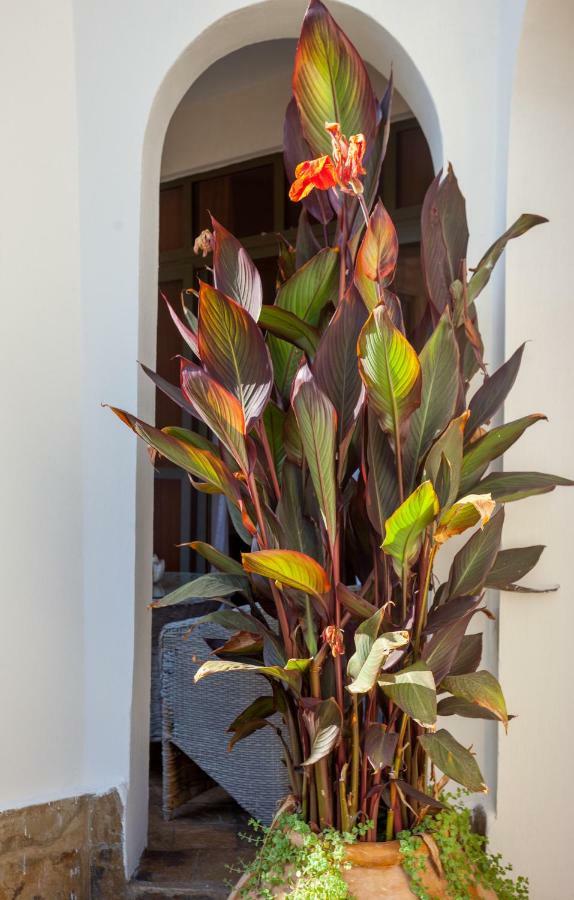 Amani Luxury Apartments Mombasa Exterior foto